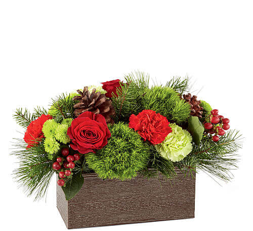 BOUQUET CABINE DE NOEL