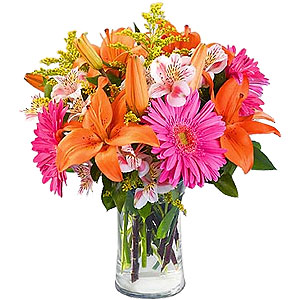 Bouquet Floraison Brillante